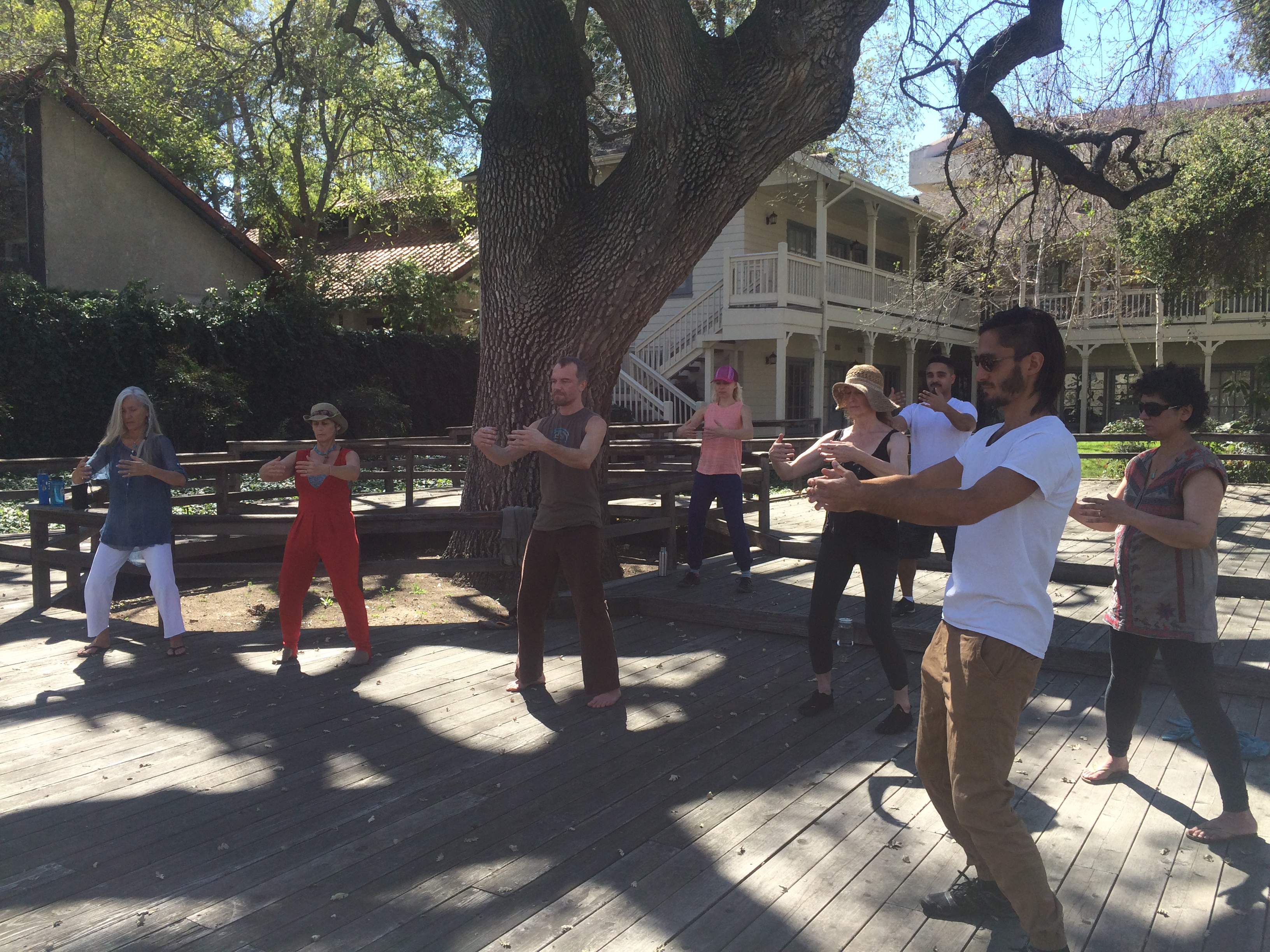 Sunday LA Bagua Live Classes
